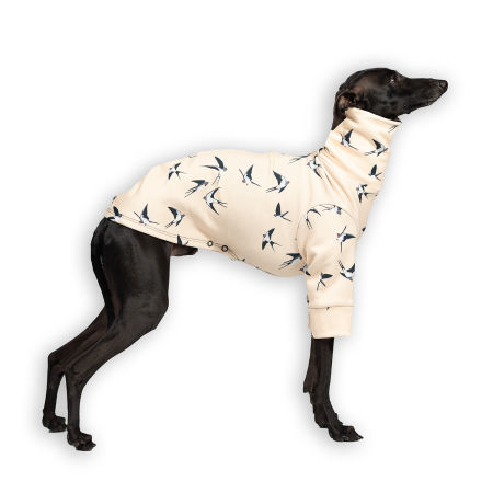 Italian greyhound clothing SKYWHIRL Stretchmax® blouse - Wear.Chartbeat image 1