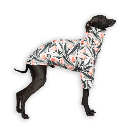 Italian greyhound clothing TULIP NOIRStretchmax® blouse - Wear.Chartbeat image 1