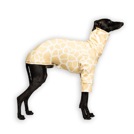 Italian greyhound clothing SAVANNA Stretchmax® blouse - Wear.Chartbeat image 1