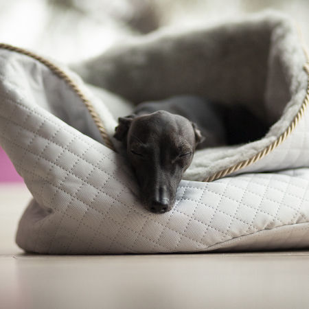 BOW MEOW XL - bed for italian greyhound - My Dogue image 4