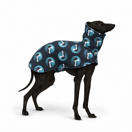 Italian greyhound IGCONIC BLUE Softshell® jacket