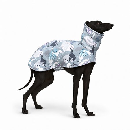 Italian greyhound GREYT Softshell® jacket