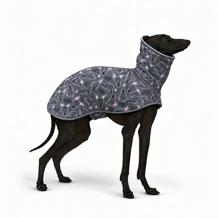 Italian greyhound SIGHTHIE Softshell® jacket