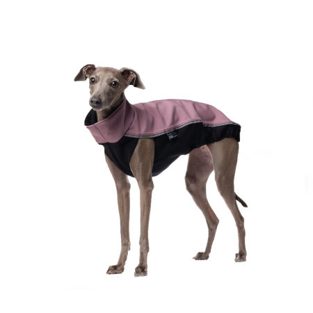 Italian greyhound jacket DG OUTDOOR SOFTSHELL TOP - DGDogGear image 1