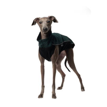 Italian greyhound jacket DG OUTDOOR SOFTSHELL TOP - DGDogGear image 2