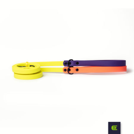 Italian greyhound leash EYESH Neon Yellow