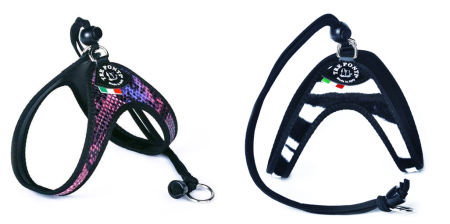 Harnesses for italian greyhound puppy - TRE PONTI