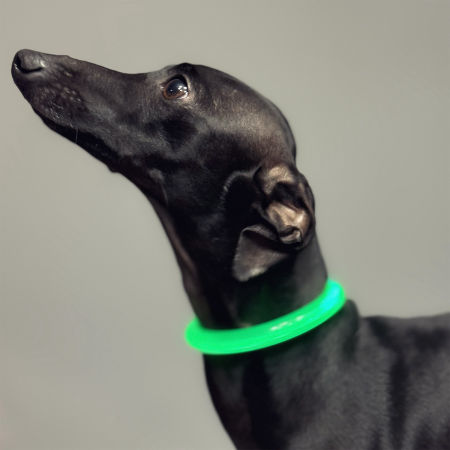 Led collar for dog image 3