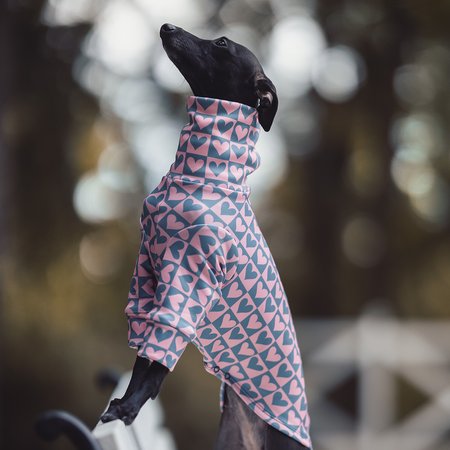 Italian greyhound clothing SWEETHEART Stretchmax® blouse