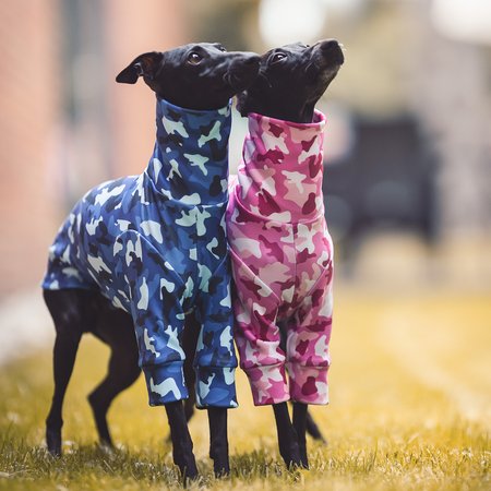Italian greyhound clothing CAMO COLOR Stretchmax® blouse