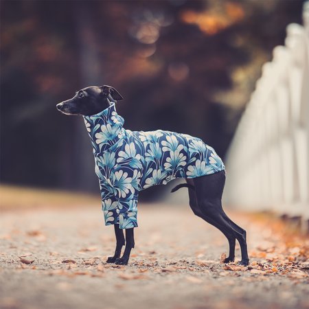 Italian greyhound clothing BLOOMBASTIC Stretchmax® blouse