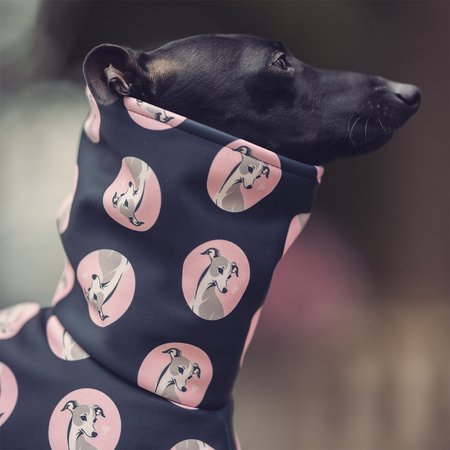 Italian greyhound IGCONIC PINK Softshell® jacket