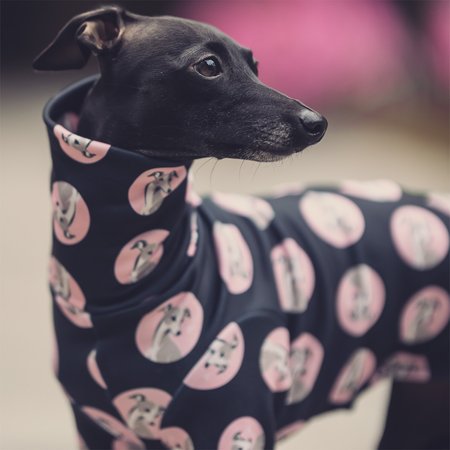 Italian greyhound clothing IGCONIC PINK Stretchmax® blouse
