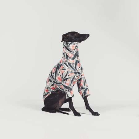 Italian greyhound clothing TULIP NOIRStretchmax® blouse - Wear.Chartbeat image 2