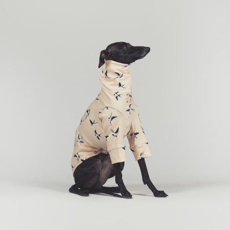 Italian greyhound clothing SKYWHIRL Stretchmax® blouse - Wear.Chartbeat image 2