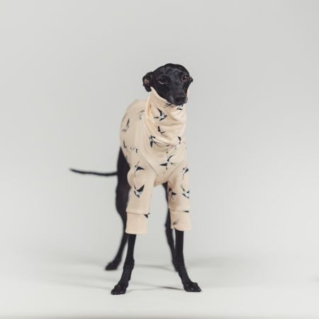 Italian greyhound clothing SKYWHIRL Stretchmax® blouse - Wear.Chartbeat image 3
