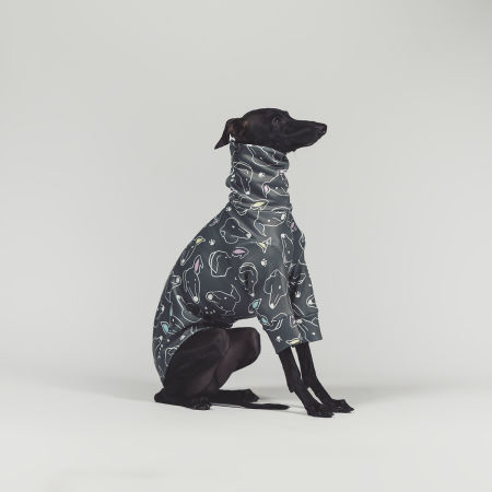 Italian greyhound clothing SIGHTHIE NEW Stretchmax® blouse - Wear.Chartbeat image 3
