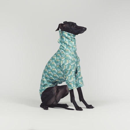 Italian greyhound clothing HEXED Stretchmax® blouse - Wear.Chartbeat image 4