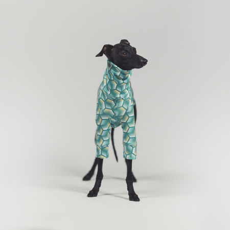 Italian greyhound clothing HEXED Stretchmax® blouse - Wear.Chartbeat image 2