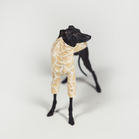 Italian greyhound clothing SAVANNA Stretchmax® blouse - Wear.Chartbeat image 3