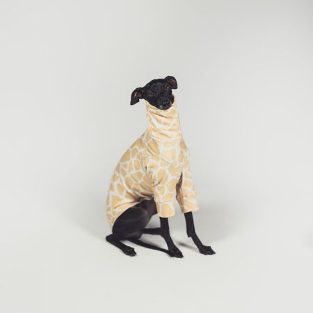 Italian greyhound clothing SAVANNA Stretchmax® blouse - Wear.Chartbeat image 2