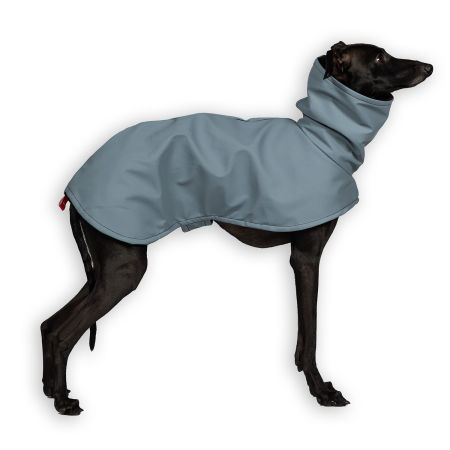 Italian greyhound STORM STOP SKYAN coat - Wear.Chartbeat image 1