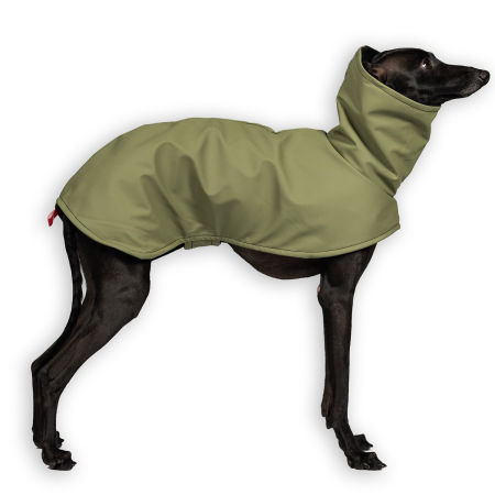 Italian greyhound STORM STOP ARMY coat - Wear.Chartbeat image 1