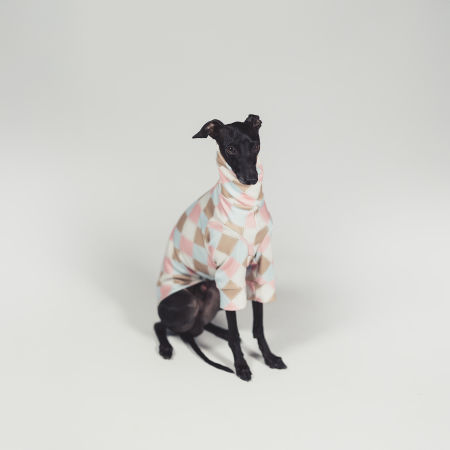 Italian greyhound clothing VANILLA SHAKE Stretchmax® blouse - Wear.Chartbeat image 3