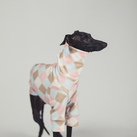 Italian greyhound clothing VANILLA SHAKE Stretchmax® blouse - Wear.Chartbeat image 2