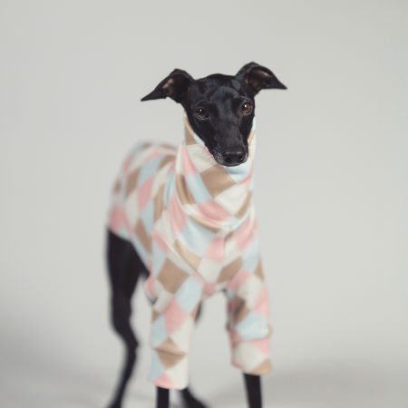Italian greyhound clothing VANILLA SHAKE Stretchmax® blouse - Wear.Chartbeat image 4