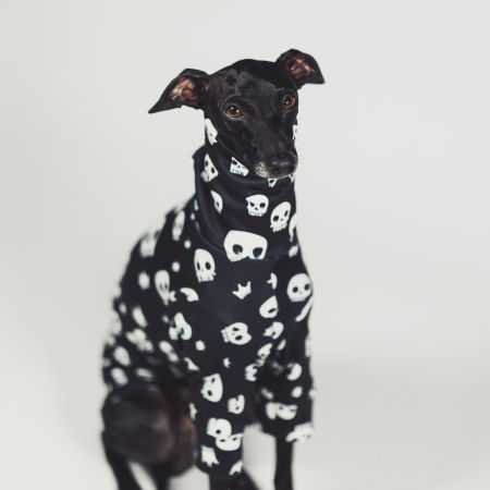 Italian greyhound clothing SPOOKIFY Stretchmax® blouse - Wear.Chartbeat image 2