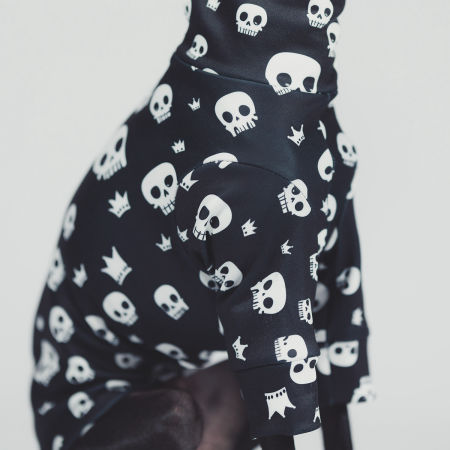 Italian greyhound clothing SPOOKIFY Stretchmax® blouse - Wear.Chartbeat image 3