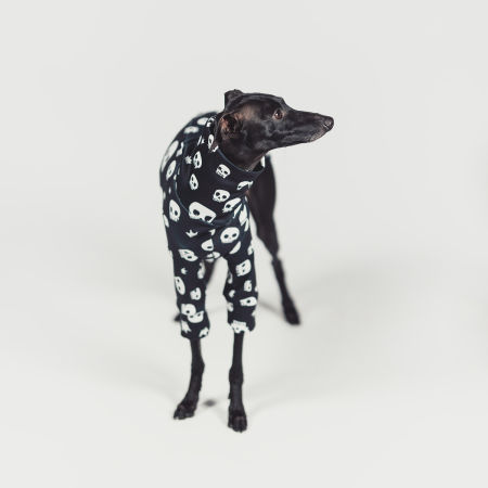 Italian greyhound clothing SPOOKIFY Stretchmax® blouse - Wear.Chartbeat image 4