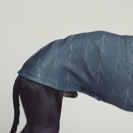 Italian greyhound clothing TWIGGY Stretchmax® blouse - Wear.Chartbeat image 4