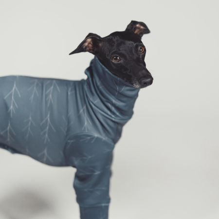 Italian greyhound clothing TWIGGY Stretchmax® blouse - Wear.Chartbeat image 2