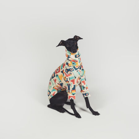 Italian greyhound clothing LOMO Stretchmax® blouse - Wear.Chartbeat image 2