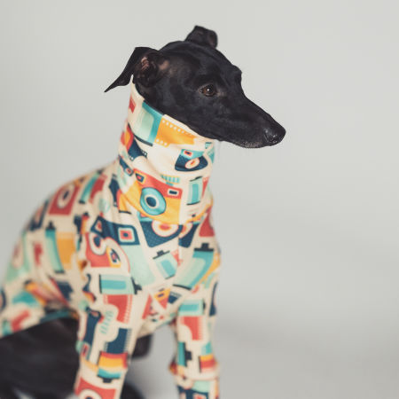 Italian greyhound clothing LOMO Stretchmax® blouse - Wear.Chartbeat image 3