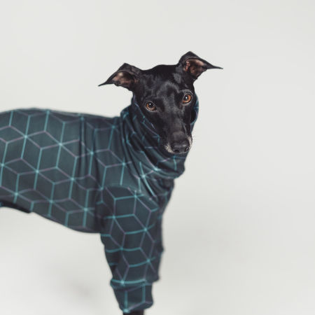 Italian greyhound clothing CYBERPUNK Stretchmax® blouse - Wear.Chartbeat image 2