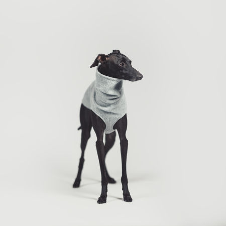 Italian greyhound clothing MELANGE FLEECE - Wear.Chartbeat image 2