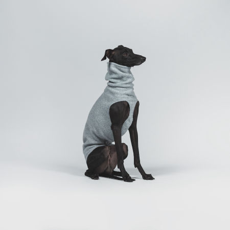 Italian greyhound clothing MELANGE FLEECE - Wear.Chartbeat image 4