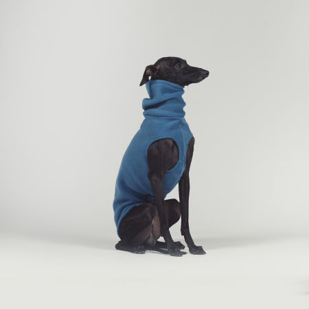 Italian greyhound clothing BLUE FLEECE - Wear.Chartbeat image 2