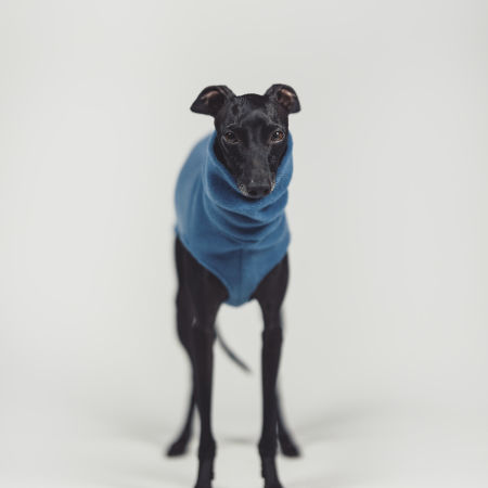 Italian greyhound clothing BLUE FLEECE - Wear.Chartbeat image 3
