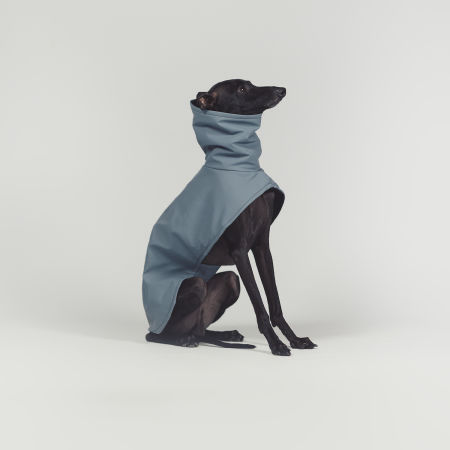 Italian greyhound STORM STOP SKYAN coat - Wear.Chartbeat image 2
