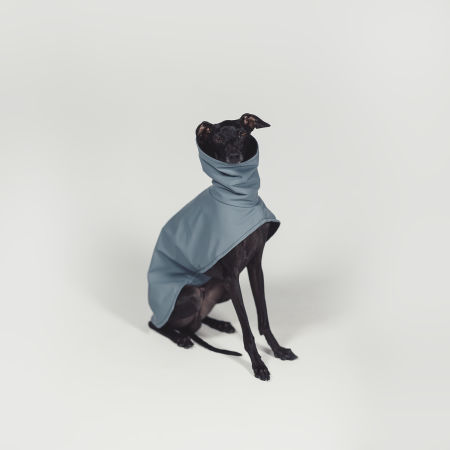 Italian greyhound STORM STOP SKYAN coat - Wear.Chartbeat image 3