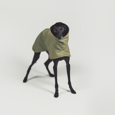 Italian greyhound STORM STOP ARMY coat - Wear.Chartbeat image 3