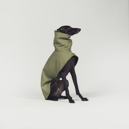 Italian greyhound STORM STOP ARMY coat - Wear.Chartbeat image 4