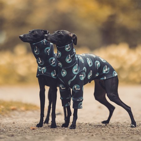 Italian greyhound clothing IGCONIC BLUE Stretchmax® blouse