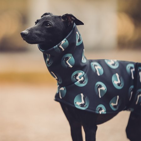 Italian greyhound IGCONIC BLUE Softshell® jacket