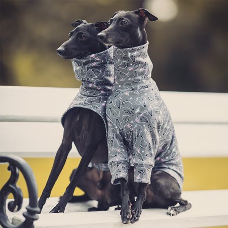 Italian greyhound clothing SIGHTHIE Stretchmax® blouse