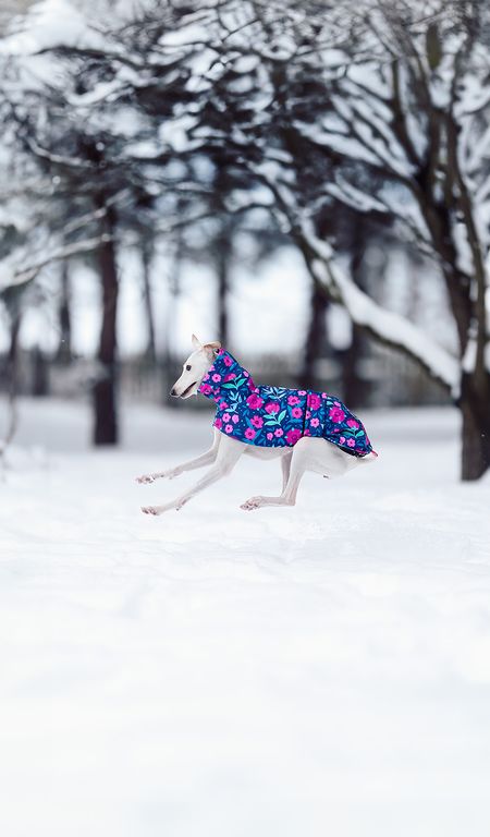 fOlk you! collection - WearChartbeat x Cup of Layna